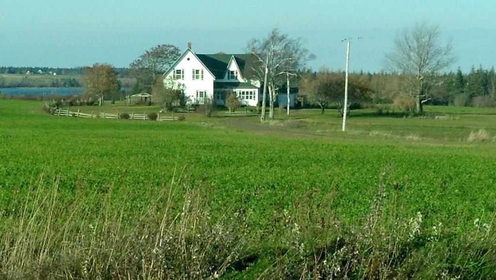 Lovely Green Gable Home Miscouche 外观 照片