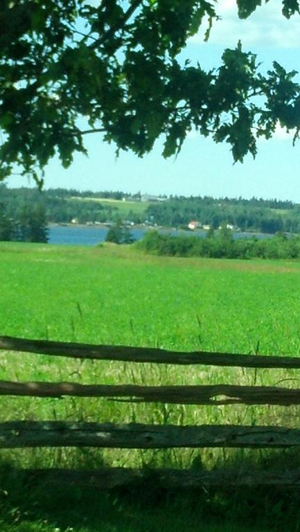 Lovely Green Gable Home Miscouche 外观 照片